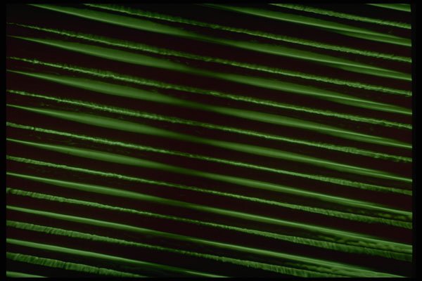 406094 Green Diagonal Stripes A4 Photo Print