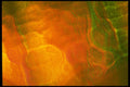 406098 Iridescent Orange With Green A4 Photo Print