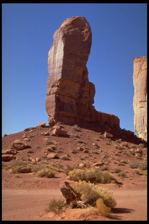 407012 The Thumb A4 Photo Print