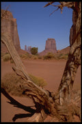 407054 Arid Tree A4 Photo Print