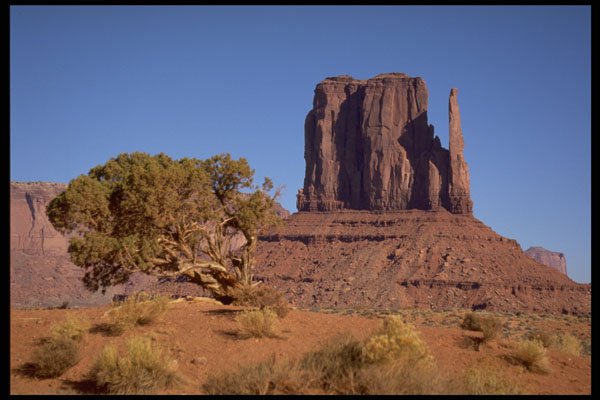407079 Southern View Of West Mitten Butte A4 Photo Print