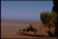 407089 Elevated View A4 Photo Print