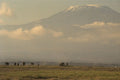 408010 Elephants On The Plain A4 Photo Print