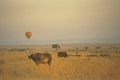 408020 Buffalo On The Plain A4 Photo Print