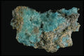 409000 Aurichalcite Crystals, Arizona, U.S.A. A4 Photo Print