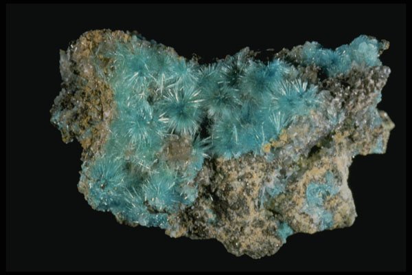 409000 Aurichalcite Crystals, Arizona, U.S.A. A4 Photo Print