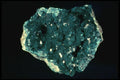 409009 Dioptase Crystals, Tsumeb, Namibia A4 Photo Print