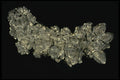 409016 Marcasite Crystals, Ohio, U.S.A. A4 Photo Print
