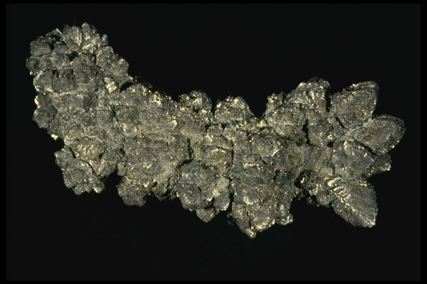 409016 Marcasite Crystals, Ohio, U.S.A. A4 Photo Print