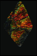 409018 Ammolite Cabochon, Alberta, Canada A4 Photo Print