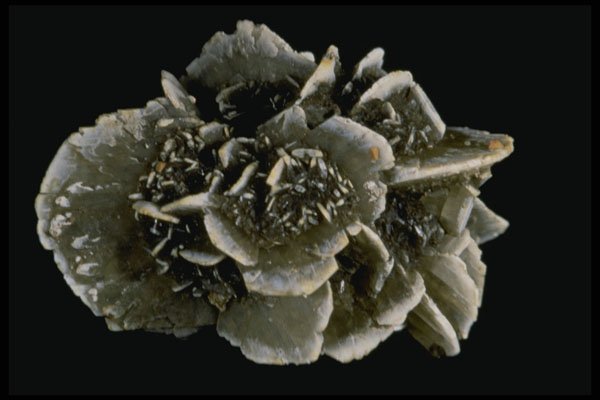 409020 Desert Rose (gypsum), Saskatchewan A4 Photo Print