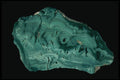 409021 Malachite, Zaire A4 Photo Print