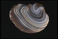 409030 Lake Superior Agate A4 Photo Print