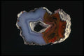 409031 Condor Agate, Argentina A4 Photo Print