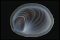 409039 Botswana Agate, Africa A4 Photo Print
