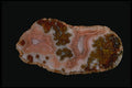 409056 Laguna Agate, Mexico A4 Photo Print