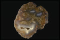409062 Coyamito Agate, Mexico A4 Photo Print