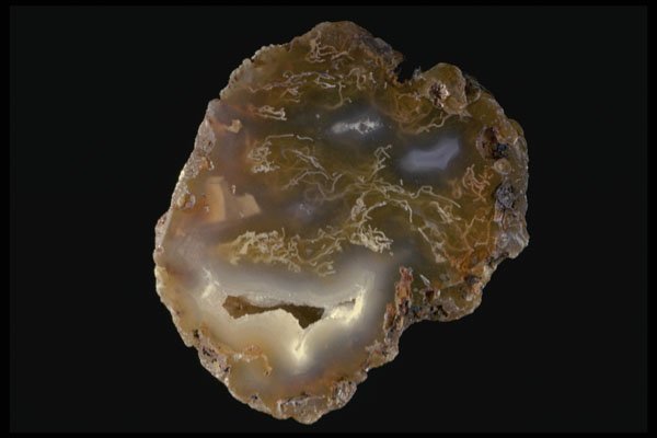 409062 Coyamito Agate, Mexico A4 Photo Print