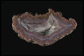 409066 Laguna Agate, Mexico A4 Photo Print