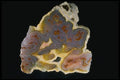 409078 Laguna Agate, Mexico A4 Photo Print