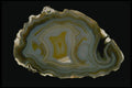409085 Indian Agate A4 Photo Print