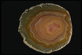 409086 Brazilian Agate A4 Photo Print