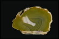 409099 Queensland Agate, Australia A4 Photo Print