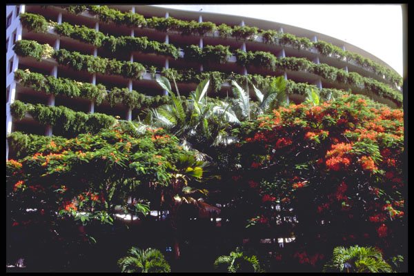 411003 Hotel Balconies, Cairns, Queensland A4 Photo Print