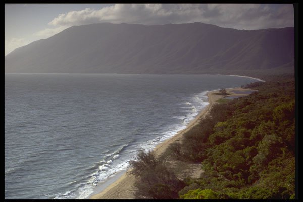 411008 Ellis Beach, Queensland A4 Photo Print