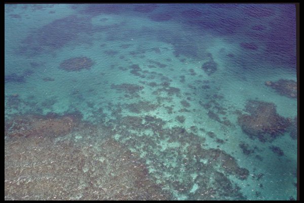 411013 Great Barrier Reef, Queensland A4 Photo Print