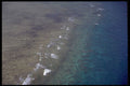 411014 Great Barrier Reef, Queensland A4 Photo Print