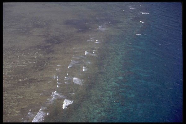 411014 Great Barrier Reef, Queensland A4 Photo Print