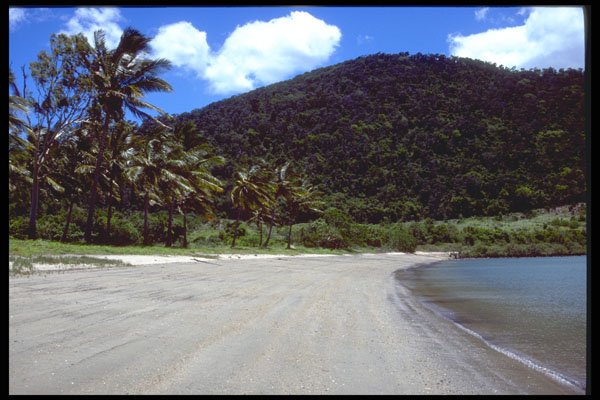 411024 Deserted Beach, Whitsunday Islands, Queensland A4 Photo Print