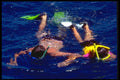 411033 Snorkeling, Great Barrier Reef, Queensland A4 Photo Print