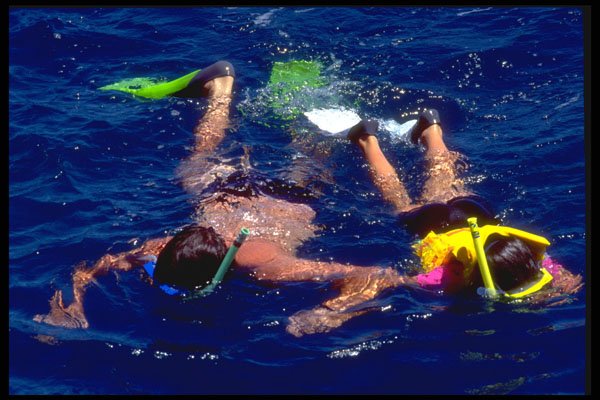 411033 Snorkeling, Great Barrier Reef, Queensland A4 Photo Print