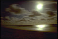 411037 Moonlit Beach, Sunshine Beach, Queensland A4 Photo Print