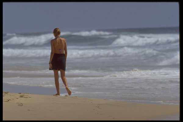411039 Out For A Walk, Sunrise Beach, Queensland A4 Photo Print