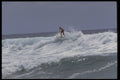 411040 Surfer, Sunrise Beach, Queensland A4 Photo Print