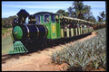411046 Sugar Cane Train, Nambour, Queensland A4 Photo Print