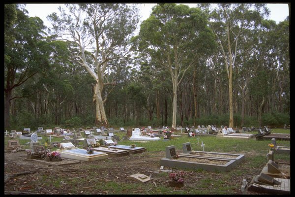 411061 Cemetery, Arakoon, New South Wales A4 Photo Print