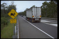 411063 Koalas Next 20 Km, New South Wales A4 Photo Print