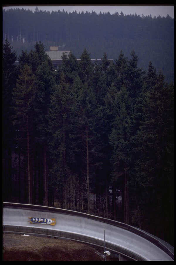412028 Trees And Track A4 Photo Print
