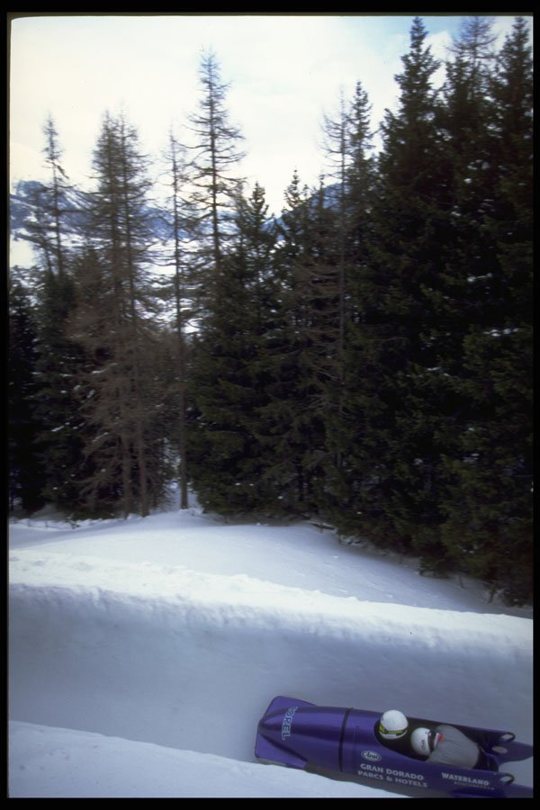 412048 Tall Trees A4 Photo Print