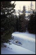 412084 Into The Woods A4 Photo Print