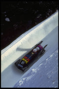412086 It's Faster In The Shade A4 Photo Print