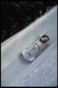 412088 Stay Low A4 Photo Print