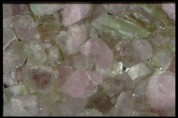 413004 Tourmaline Crystals, USA A4 Photo Print