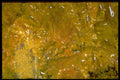 413006 Orpiment Crystals A4 Photo Print