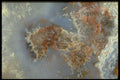 413015 Mexican Lace Agate A4 Photo Print