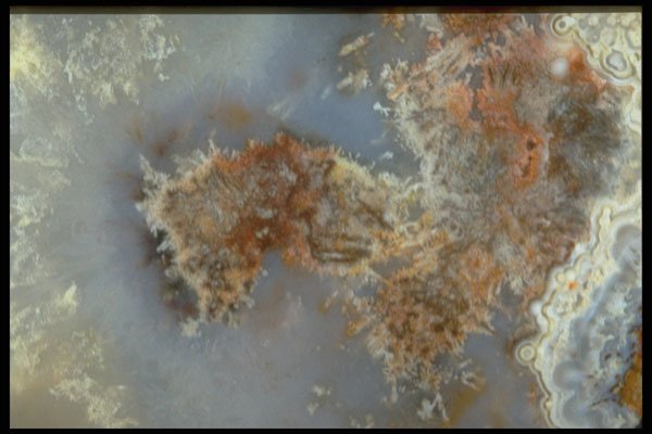 413015 Mexican Lace Agate A4 Photo Print